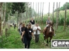 turismo-rural-36