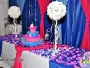 festa-de-15-anos-raphaela-good-1