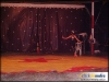 circo_beto_romanos-12_jpg