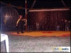 circo_beto_romanos-14_jpg