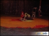 circo_beto_romanos-19_jpg