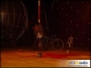 circo_beto_romanos-41_jpg