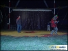 circo_beto_romanos-7_jpg