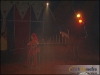 circo-29