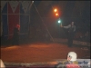 circo-43