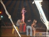 circo-52