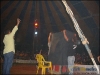 circo-53