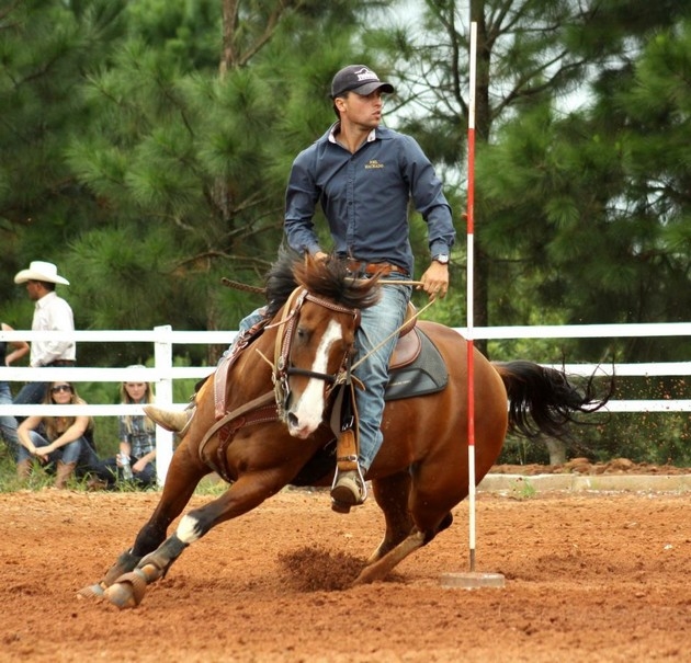 provas de balizas equestres (1)