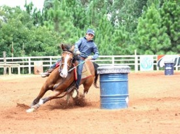 provas de balizas equestres