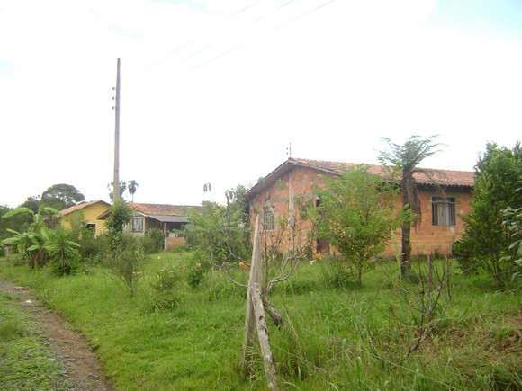 ASSENTAMENTO BROMELIAS