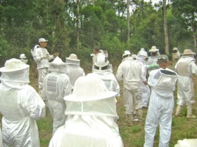 DIA DE CAMPO DA APICULTURA (6)