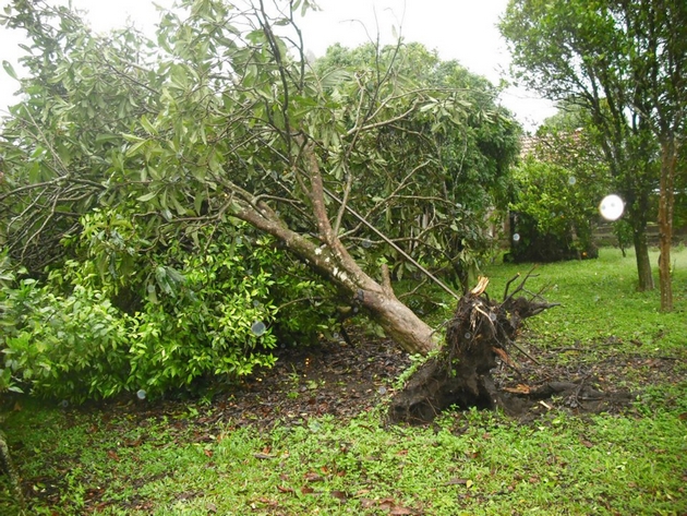 GRANIZO ITAIÓPOLIS (4)