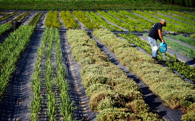 Agricultor que abrir microempresa continuará segurado especial