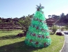 natal-1