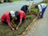 flores-1