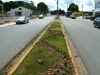 flores-2
