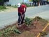flores-3