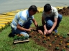 flores-6