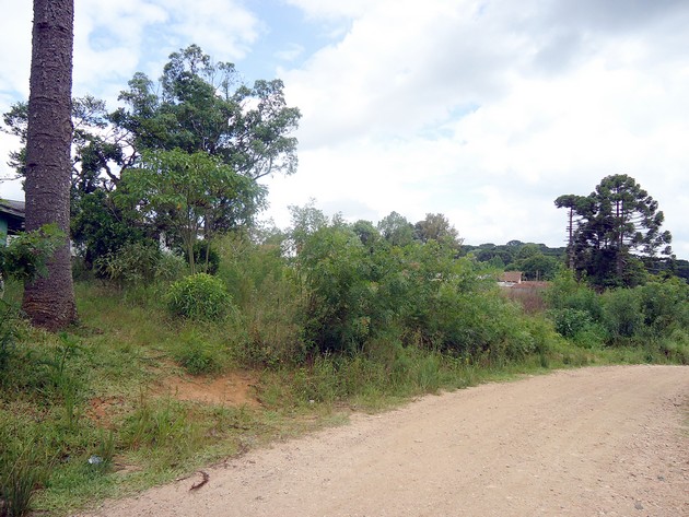Escola