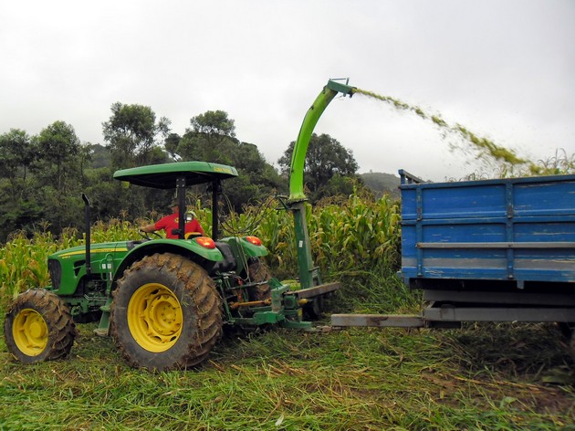 Agricultura (1)