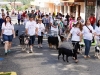 familias-e-seus-caes-participam-da-caominhada-7