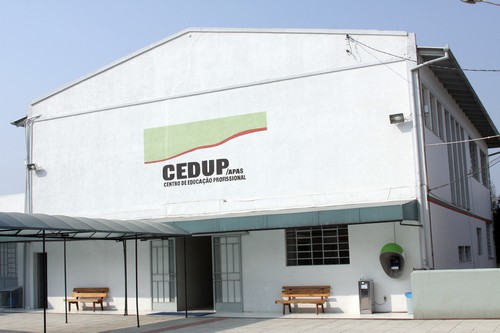 Cedup (2)
