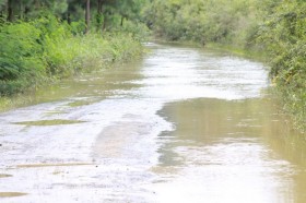 Estrada Geral Vila Grein