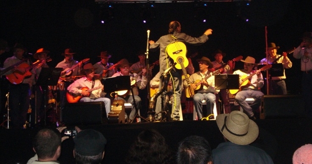 Orquestra Viola e Cantoria se apresenta em Mafra