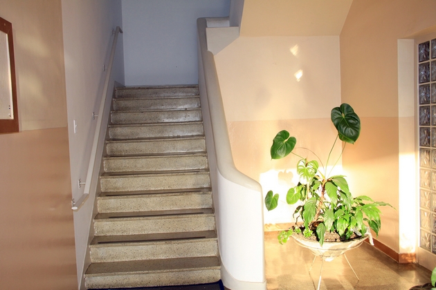 Escadas - Câmara de Mafra