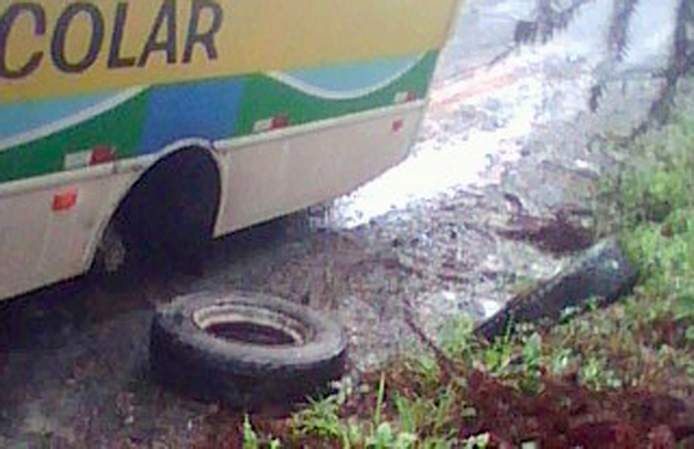 Ônibus escolar (10)