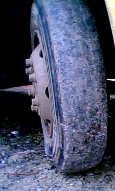 Ônibus escolar (11)