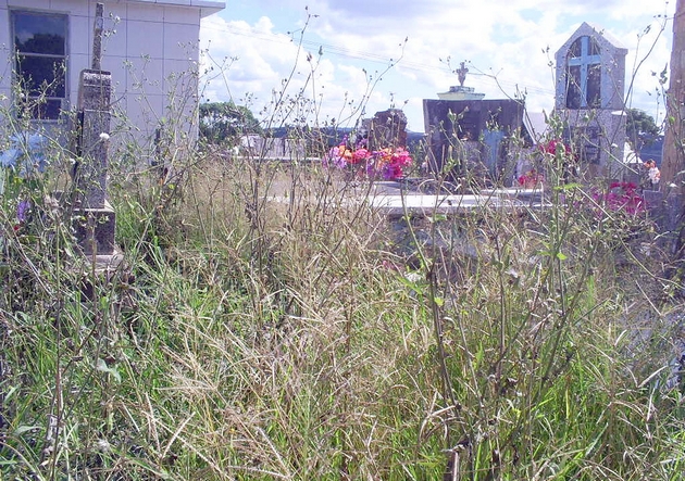 SAMSUNG DIGIMAX A503