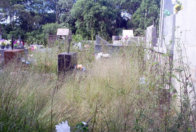 SAMSUNG DIGIMAX A503