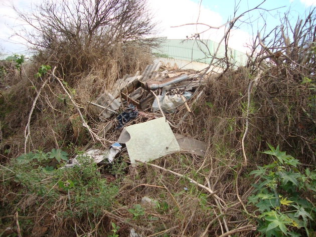 Linha férrea - Vila Argentina (14)