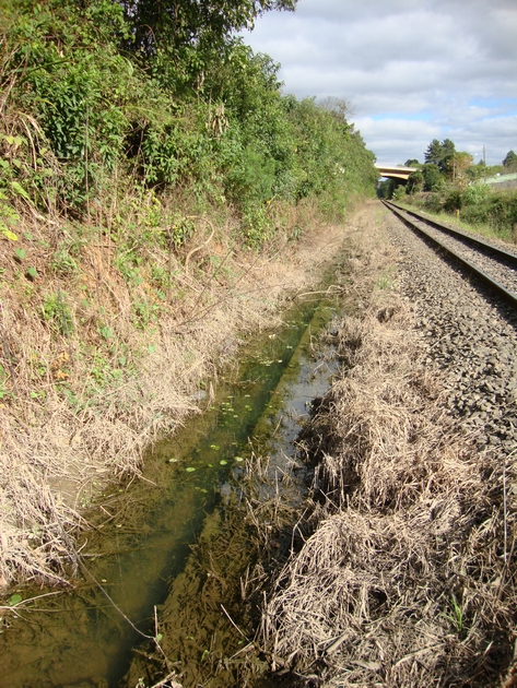 Linha férrea - Vila Argentina (27)