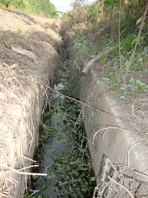 Linha férrea - Vila Argentina (30)