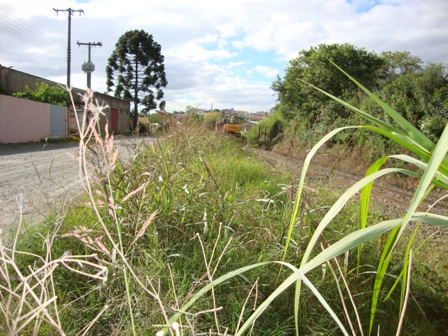 Linha férrea - Vila Argentina (5)