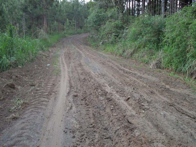 Moradores de Rio Negro reclamam das estradas do interior (16)