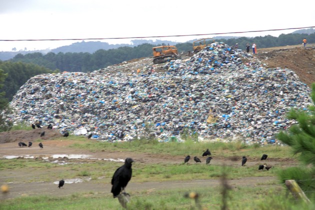 Lixão (3)