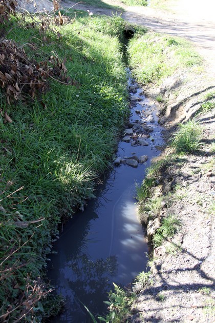 Jardim América - Rua Osmar Krieguer (2)