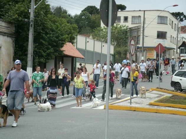 Mais de 100 animais castrados gratuitamente em Rio Negro
