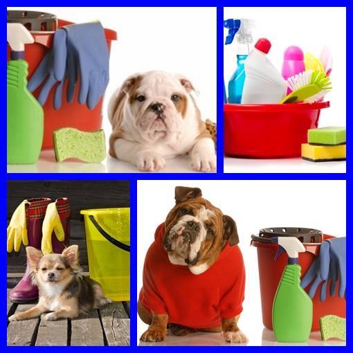 12524384_972658452830660_3947718225881752473_n