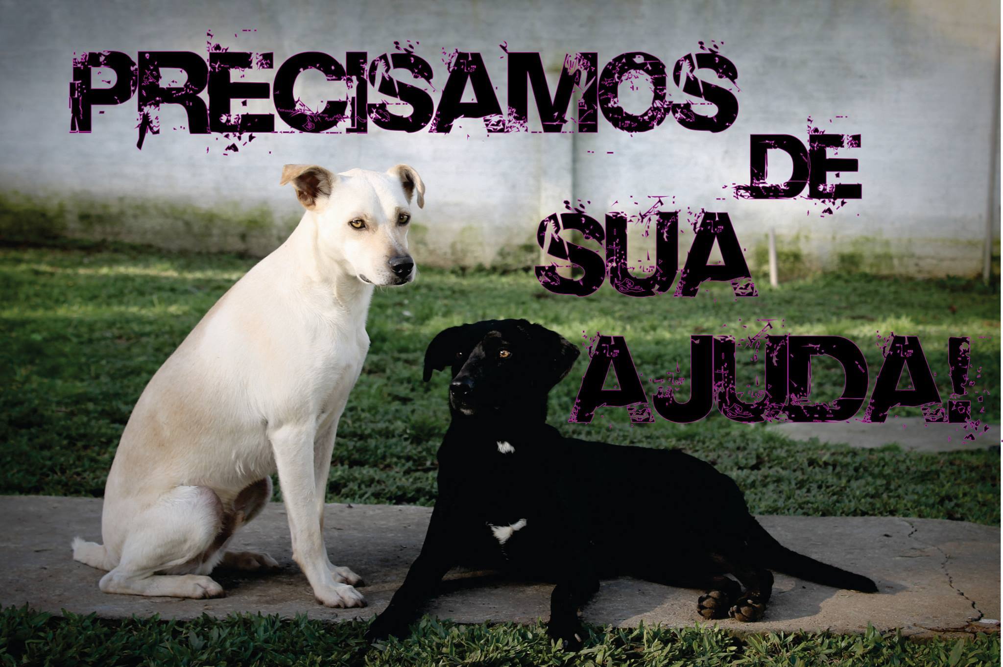 PRECISAMOS DE SUA AJUDA