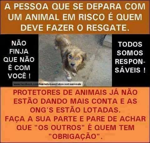 Você NÃO FEZ A SUA PARTE AVISANDO UMA ONG.