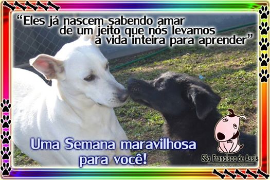 13902768_1060949227334915_6471630882782567923_n