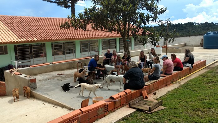 Visite o Abrigo de Cães São Francisco de Assis e faça novos amigos (2)