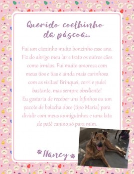 Adote uma cartinha e doe mimos para os cães do Abrigo São Francisco de Assis (10)