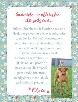 Adote uma cartinha e doe mimos para os cães do Abrigo São Francisco de Assis (11)