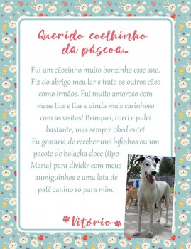 Adote uma cartinha e doe mimos para os cães do Abrigo São Francisco de Assis (13)