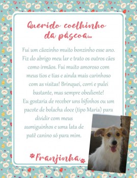 Adote uma cartinha e doe mimos para os cães do Abrigo São Francisco de Assis (14)